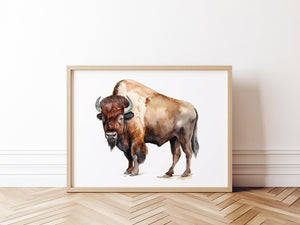 a picture of a bison in a frame on the floor