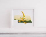 Nebraska State Wall Art - Botanical Print of Wildflowers, Nature Lover Decor, Home Gift & State Flower Artwork