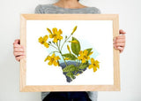 South Carolina Wall Art – Botanical Flower Print | Palmetto State Art Decor
