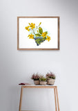 South Carolina Wall Art – Botanical Flower Print | Palmetto State Art Decor