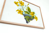 South Carolina Wall Art – Botanical Flower Print | Palmetto State Art Decor
