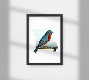 Eastern Bluebird Wall Art | Missouri Home Decor | Gift for Bird Lovers | St Louis & Kansas City Bird Decor