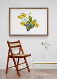South Carolina Wall Art – Botanical Flower Print | Palmetto State Art Decor