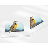 Kansas Western Meadowlark | State Bird Series - Magnet - State Bird