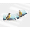 Kansas Western Meadowlark | State Bird Series - Sticker - State Bird
