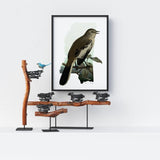 Mississippi state bird | Mockingbird - 5x7 Unframed Print - State Bird
