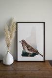 New Hampshire State Bird Flora & Fauna Art Print - Art Print - Flora & Fauna