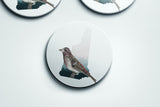 New Hampshire State Bird Flora & Fauna Coaster Set - Coaster Set - Flora & Fauna