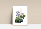 New Hampshire State Flower Flora & Fauna Art Print - Art Print - Flora & Fauna