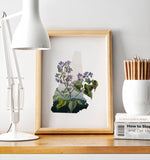 New Hampshire State Flower Flora & Fauna Art Print - Art Print - Flora & Fauna