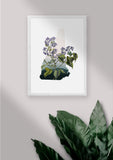 New Hampshire State Flower Flora & Fauna Art Print - Art Print - Flora & Fauna