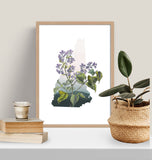 New Hampshire State Flower Flora & Fauna Art Print - Art Print - Flora & Fauna
