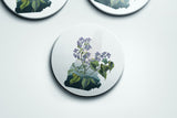 New Hampshire State Flower Flora & Fauna Coaster Set - Coaster Set - Flora & Fauna