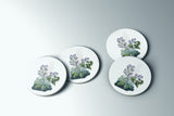 New Hampshire State Flower Flora & Fauna Coaster Set - Coaster Set - Flora & Fauna
