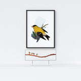 New Jersey State Bird Flora & Fauna Art Print - Art Print - Flora & Fauna