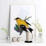 New Jersey State Bird Flora & Fauna Art Print - Art Print - Flora & Fauna