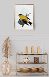 New Jersey State Bird Flora & Fauna Art Print - Art Print - Flora & Fauna
