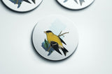 New Jersey State Bird Flora & Fauna Coaster Set - Coaster Set - Flora & Fauna