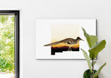 New Mexico State Bird Flora & Fauna Art Print - Art Print - Flora & Fauna