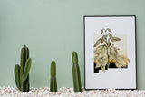 New Mexico State Flower Flora & Fauna Art Print - Art Print - Flora & Fauna