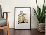 New Mexico State Flower Flora & Fauna Art Print - Art Print - Flora & Fauna