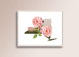 New York State Flower Flora & Fauna Art Print - Art Print - Flora & Fauna