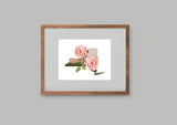 New York State Flower Flora & Fauna Art Print - Art Print - Flora & Fauna