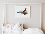 North Carolina State Bird Flora & Fauna Art Print - Art Print - Flora & Fauna