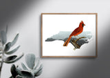 North Carolina State Bird Flora & Fauna Art Print - Art Print - Flora & Fauna