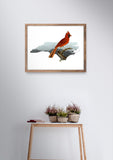 North Carolina State Bird Flora & Fauna Art Print - Art Print - Flora & Fauna