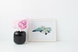 North Carolina State Flower Flora & Fauna Art Print - Art Print - Flora & Fauna