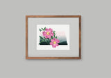 North Dakota State Flower Flora & Fauna Art Print - Art Print - Flora & Fauna