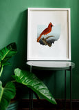 Ohio State Bird Flora & Fauna Art Print - Art Print - Flora & Fauna