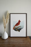 Ohio State Bird Flora & Fauna Art Print - Art Print - Flora & Fauna