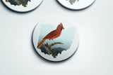 Ohio State Bird Flora & Fauna Coaster Set - Coaster Set - Flora & Fauna