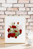 Ohio State Flower Flora & Fauna Art Print - Art Print - Flora & Fauna