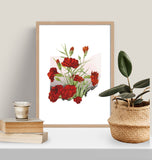 Ohio State Flower Flora & Fauna Art Print - Art Print - Flora & Fauna
