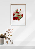 Ohio State Flower Flora & Fauna Art Print - Art Print - Flora & Fauna