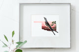 Oklahoma State Bird Flora & Fauna Art Print - Art Print - Flora & Fauna