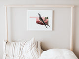 Oklahoma State Bird Flora & Fauna Art Print - Art Print - Flora & Fauna