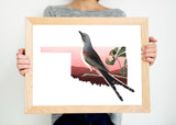 Oklahoma State Bird Flora & Fauna Art Print - Art Print - Flora & Fauna