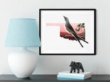 Oklahoma State Bird Flora & Fauna Art Print - Art Print - Flora & Fauna