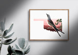 Oklahoma State Bird Flora & Fauna Art Print - Art Print - Flora & Fauna