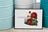 Oklahoma State Flower Flora & Fauna Art Print - Art Print - Flora & Fauna