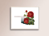 Oklahoma State Flower Flora & Fauna Art Print - Art Print - Flora & Fauna