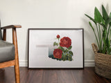 Oklahoma State Flower Flora & Fauna Art Print - Art Print - Flora & Fauna