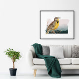 Oregon State Bird Flora & Fauna Art Print - Art Print - Flora & Fauna