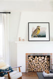Oregon State Bird Flora & Fauna Art Print - Art Print - Flora & Fauna