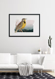 Oregon State Bird Flora & Fauna Art Print - Art Print - Flora & Fauna