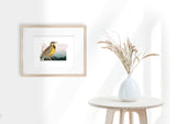 Oregon State Bird Flora & Fauna Art Print - Art Print - Flora & Fauna